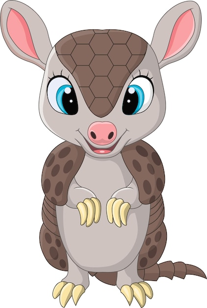 Vector cartoon cute baby armadillo standing