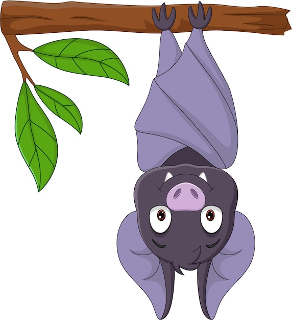 Cartoon cute bat hanging on the branch