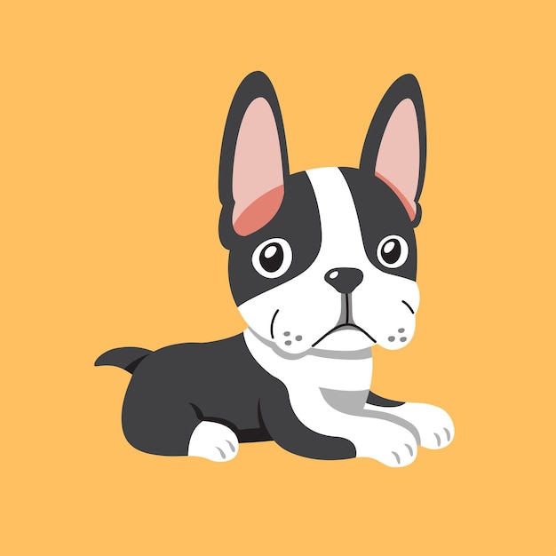 Vector cartoon cute boston terrier dog