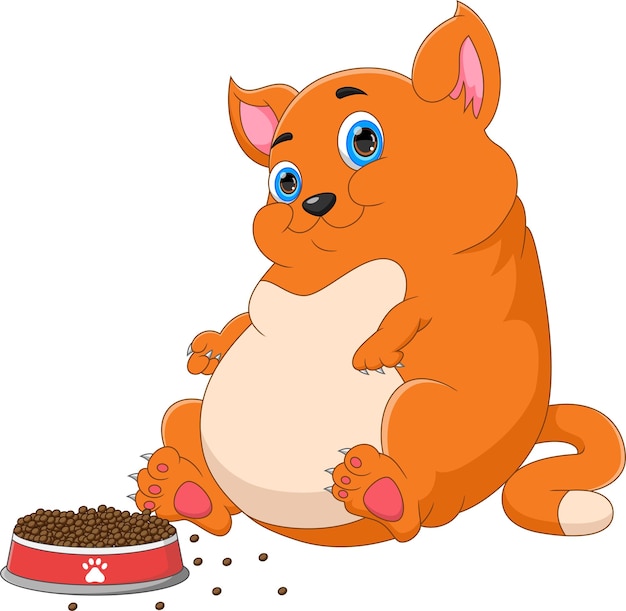 Vector cartoon cute fat cat with food on white background