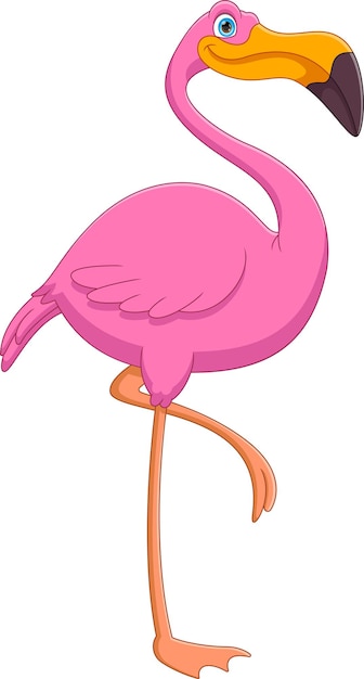 Cartoon cute flamingo on white background