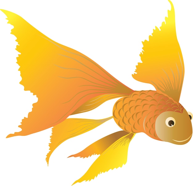 Vector cartoon cute gold fish