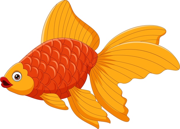 Vector cartoon cute goldfish on a white