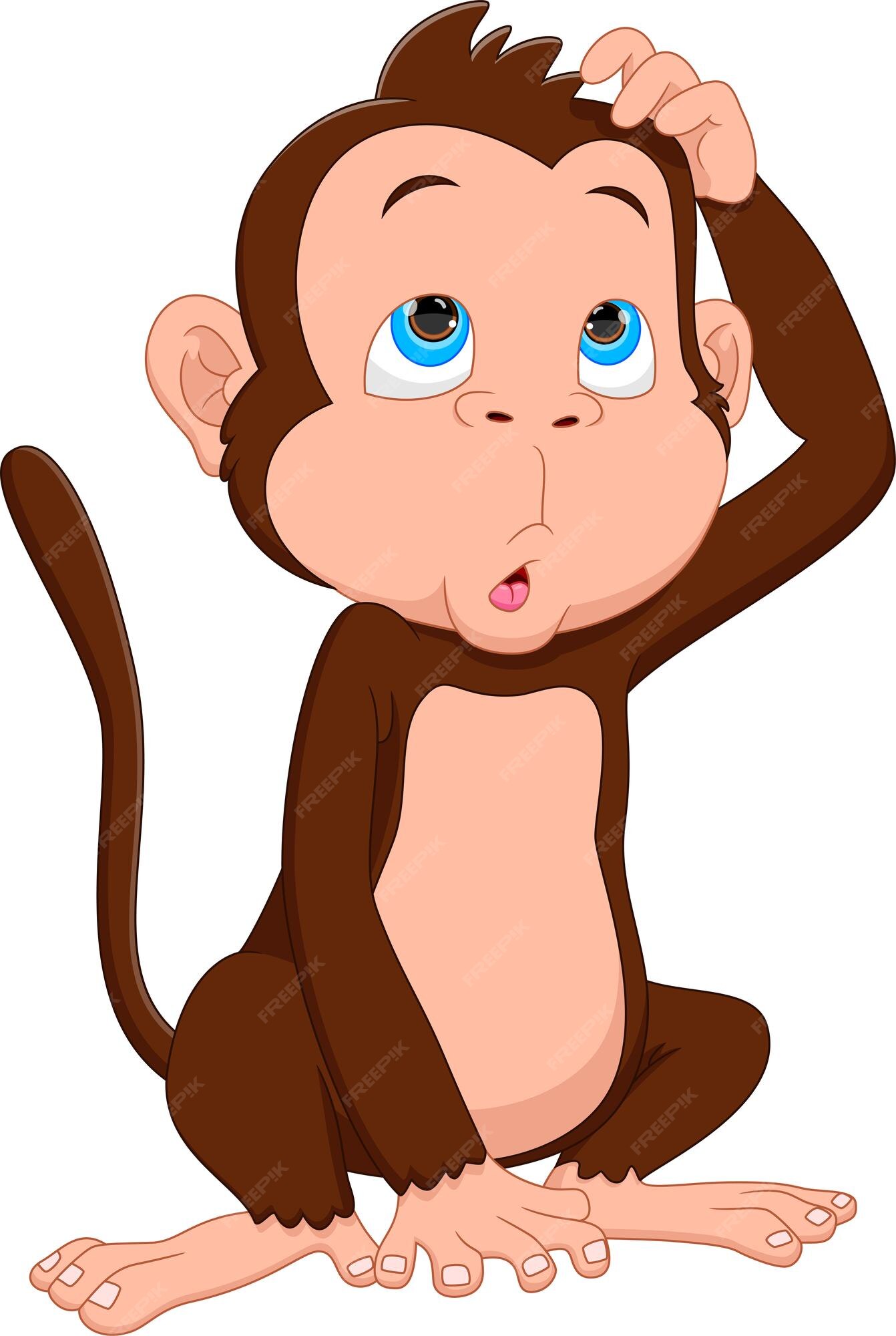 Premium Vector | Cartoon cute monkey on white background