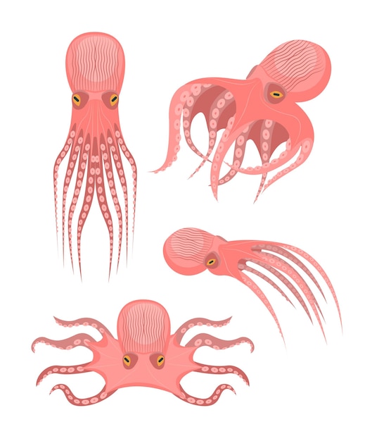 Cartoon Cute Octopus Characters Icon Set Vector