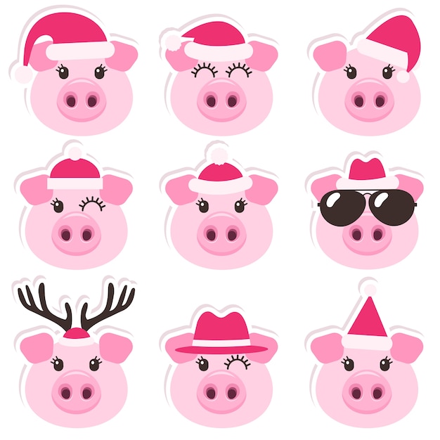 Vector cartoon cute pigs with christmas santa hats