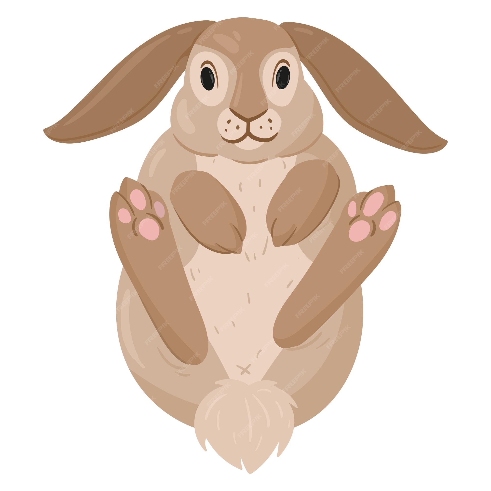 Premium Vector | Cartoon cute rabbit funny bunny spring eared hare animal  brown fur domestic bunny flat vector illustration on white background