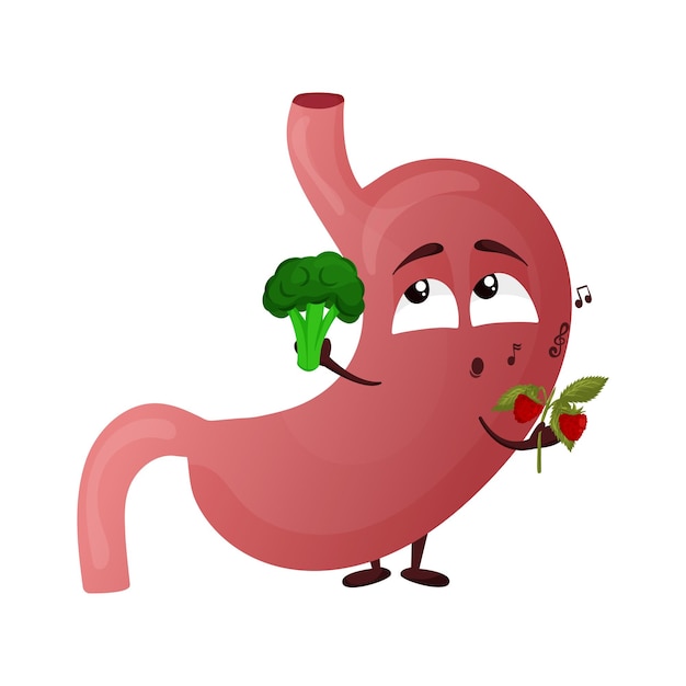 Vector cartoon cute stomach character concept choosing healthy food internal organ human vector illustration