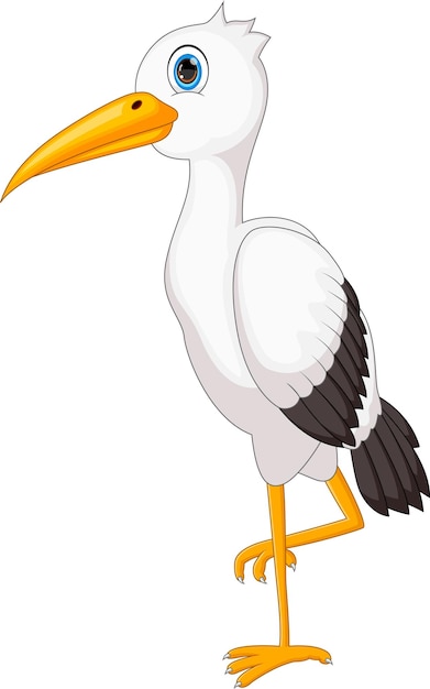 Cartoon cute stork on white background