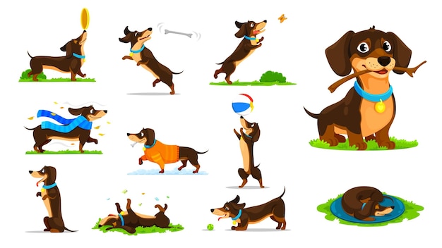 Векторный набор персонажей мультфильмов для щенков.