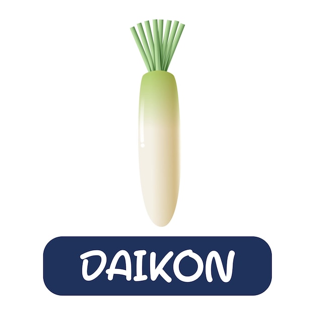 Cartoon daikon groenten vector geïsoleerd op witte achtergrond