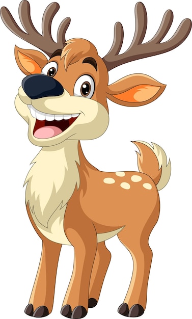 Vector cartoon deer on white background