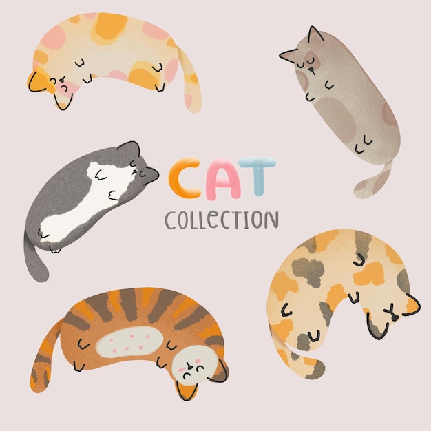 Vector cartoon design cute fat cat sleeping vector illustration