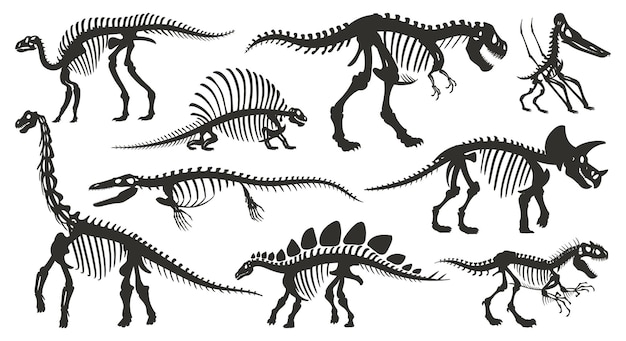 Cartoon dino skelet silhouetten oude dinosaurus fossiele botten jura tyrannosaurus velociraptor spinosaurus zwarte silhouet platte vectorillustratie ingesteld op witte achtergrond