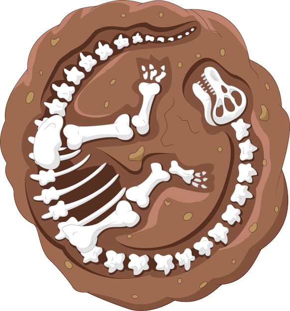 Vector cartoon dinosaur fossil