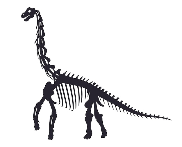 Cartoon diplodocus fossiele Jurassic periode dinosaurusskelet oude diplodocus botten platte vectorillustratie Archeologisch fossiel skelet silhouet