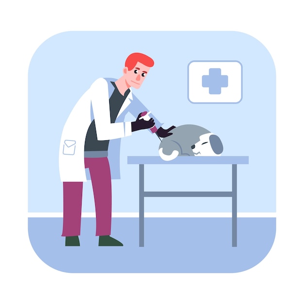 ベクトル 漫画の医師はソファに犬を注射します獣医師検査犬動物医療サービス獣医クリニック家畜治療のための医療センター