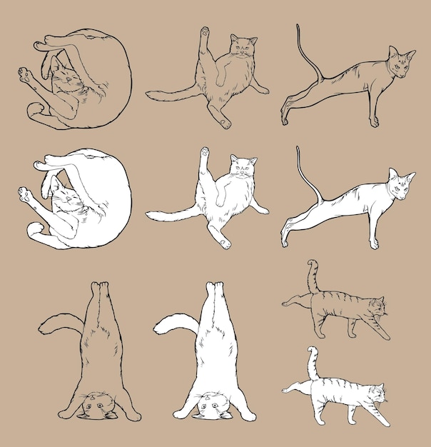 Cartoon Doodle Comic Outline Vector Seamless Pattern And Background Of Zen Meditating Cats In Yoga