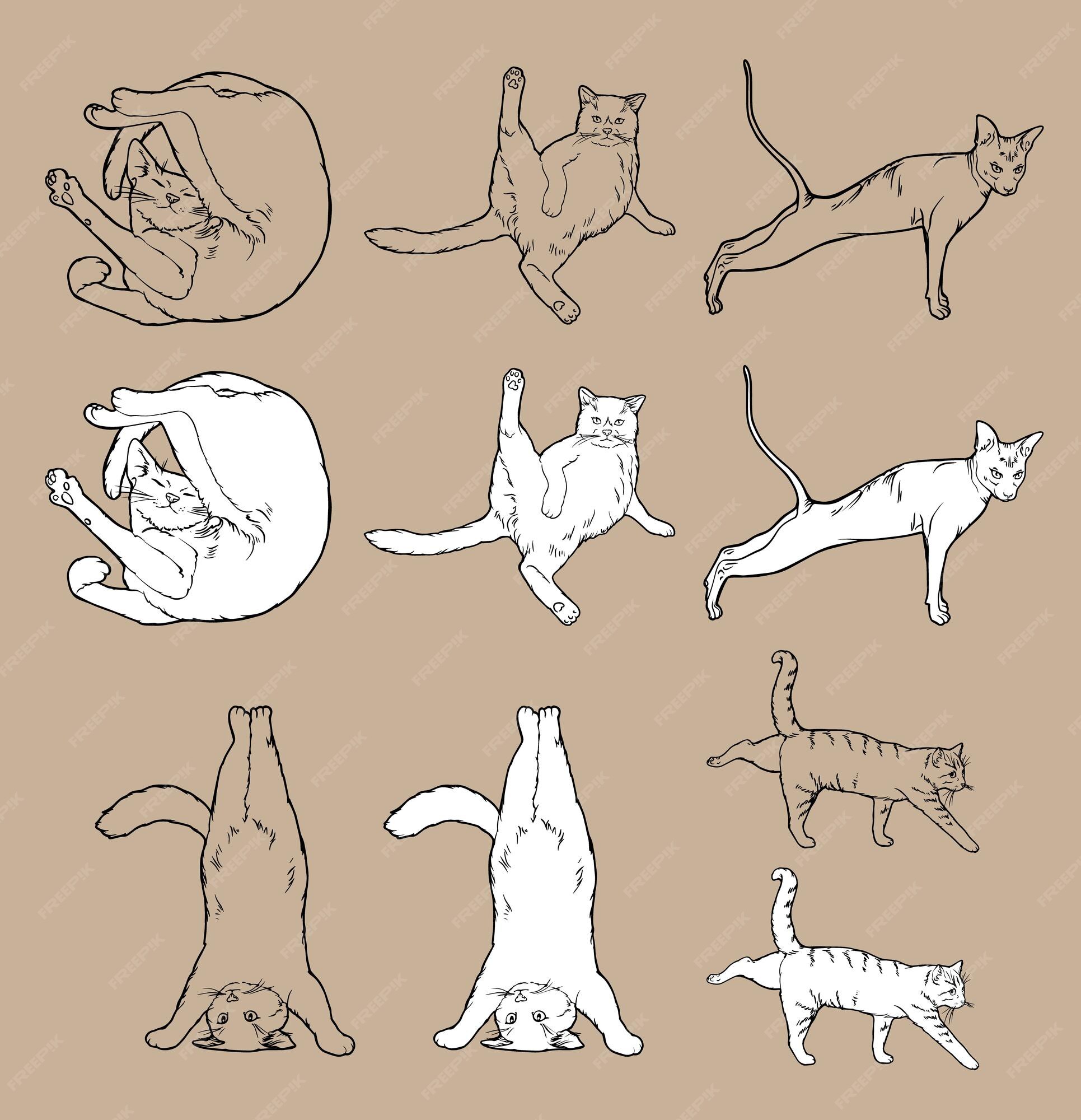 Gymnastics and Health. Set Cartoon Funny Cats Icons Doing Yoga