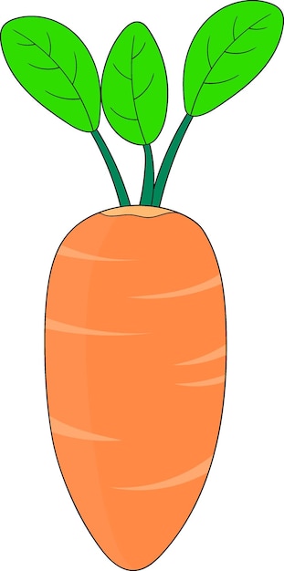 Vector cartoon doodle illustration icon of fresh orange carrot a vegetable with lots of nutrition