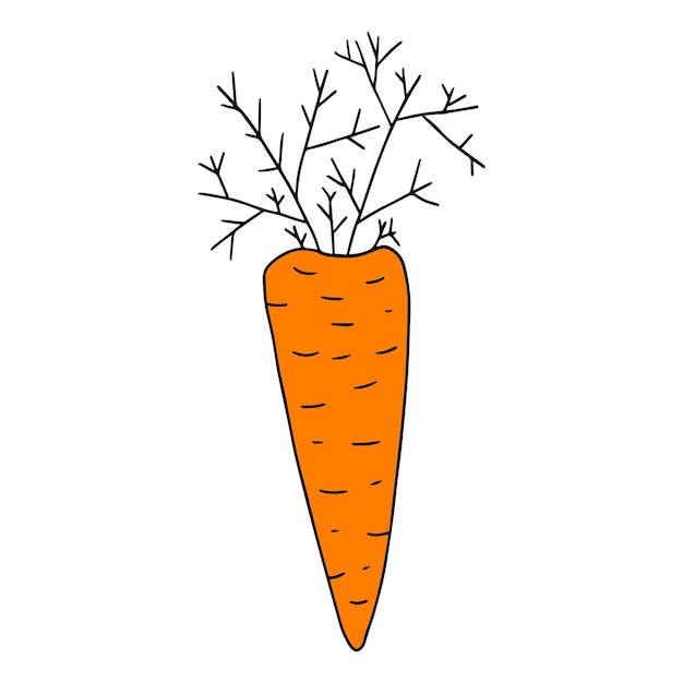 Carota lineare di doodle del fumetto con le foglie isolate su fondo bianco.