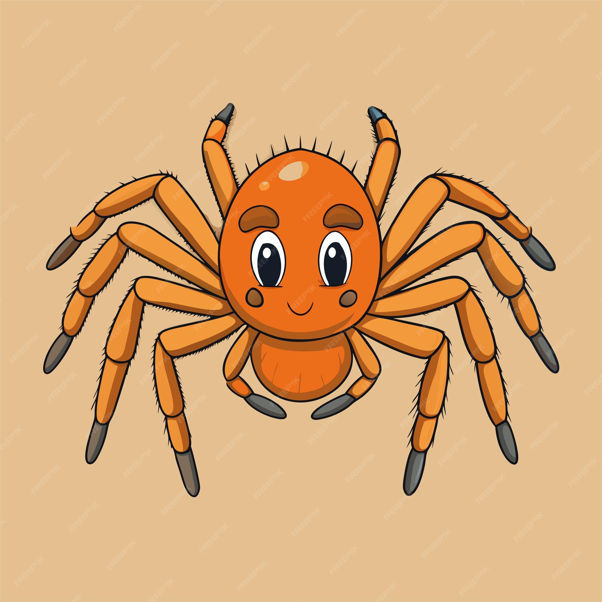 A cartoon drawing of a spider that has a face and a spider on it