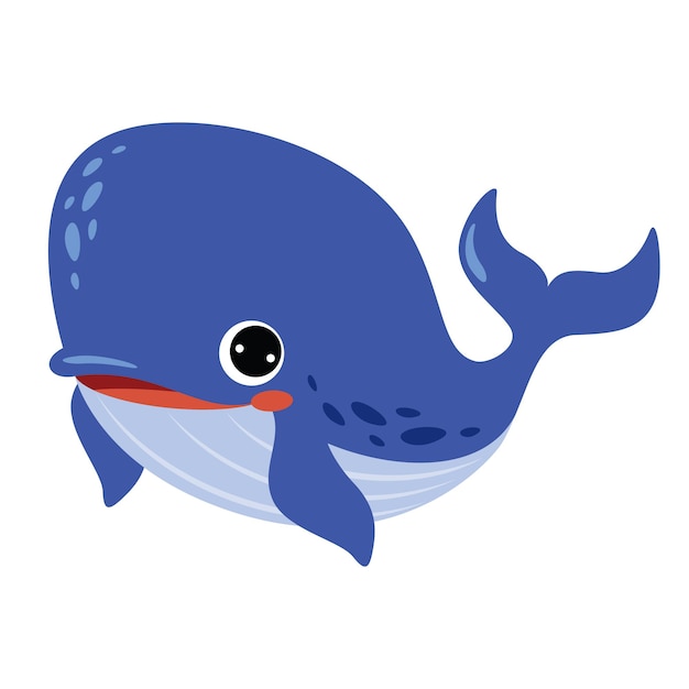 Cartoon Drawing Of A Whale