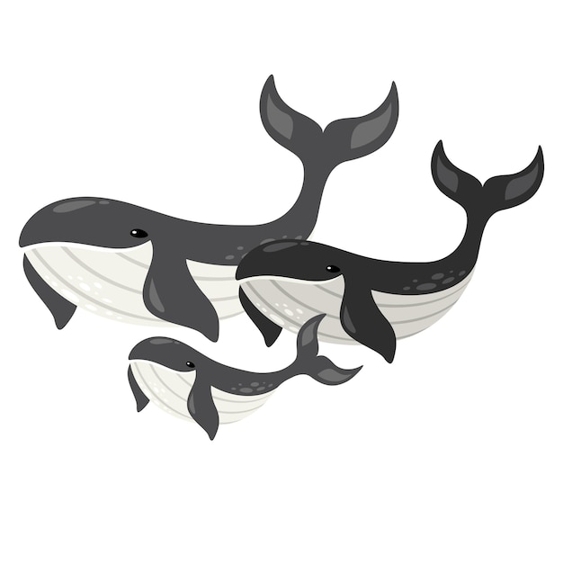 Cartoon Drawing Of A Whale