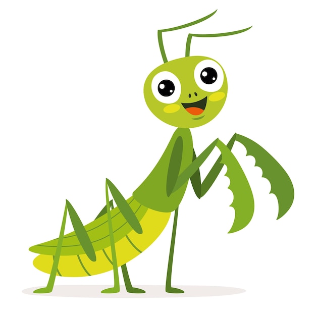 Cartoon Drawng Of A Praying Mantis