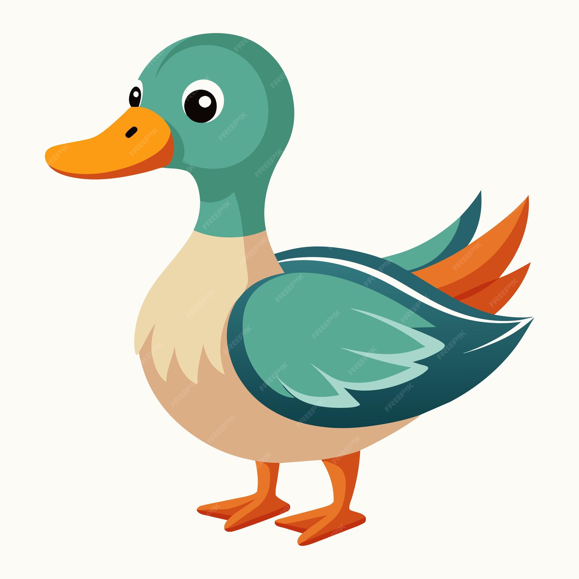 Premium Vector | Cartoon duck drake Illustration