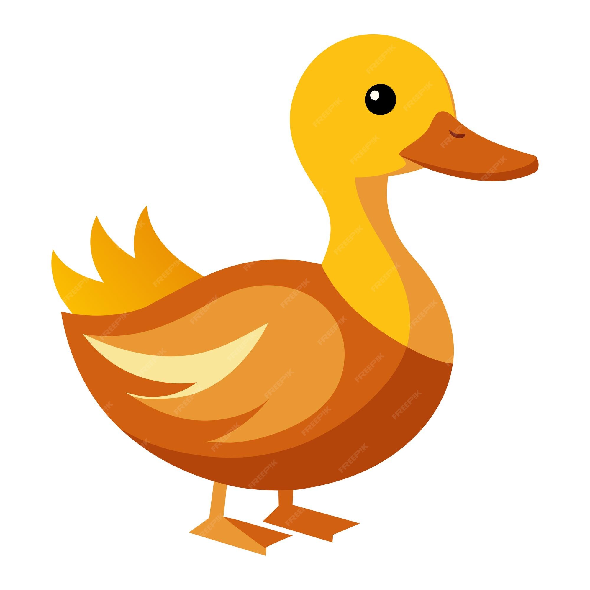 Premium Vector | Cartoon duck drake Illustration