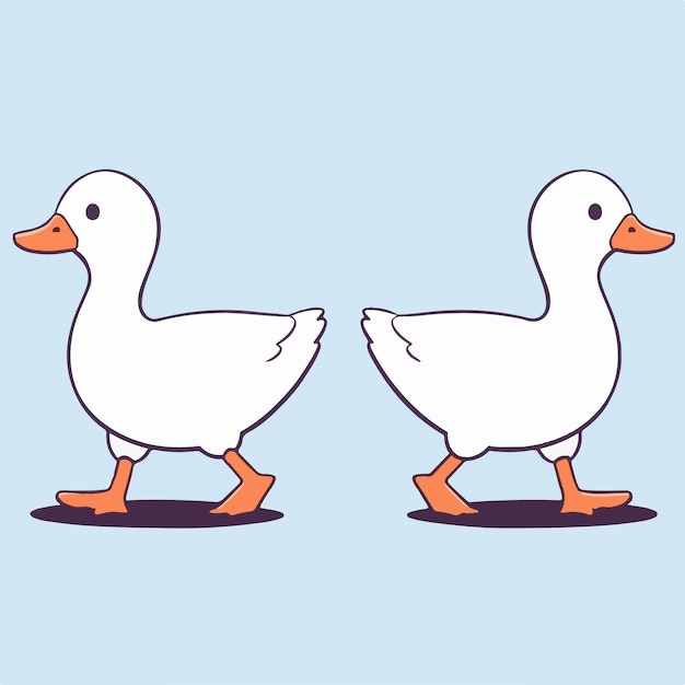 Vector a cartoon duck and a duck