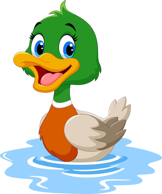 Cartoon duck swimming