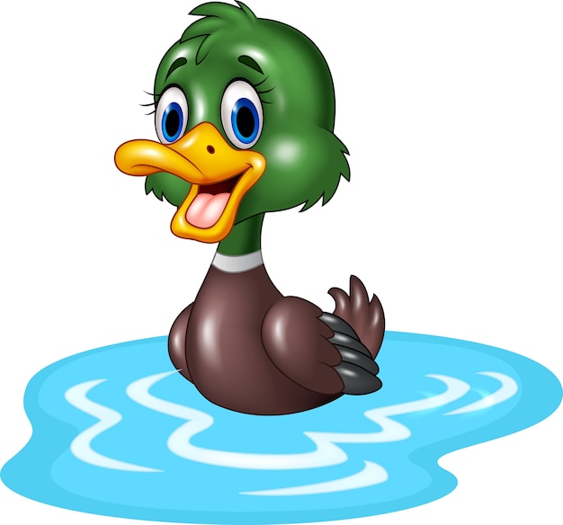 Vector cartoon ducks floats on water