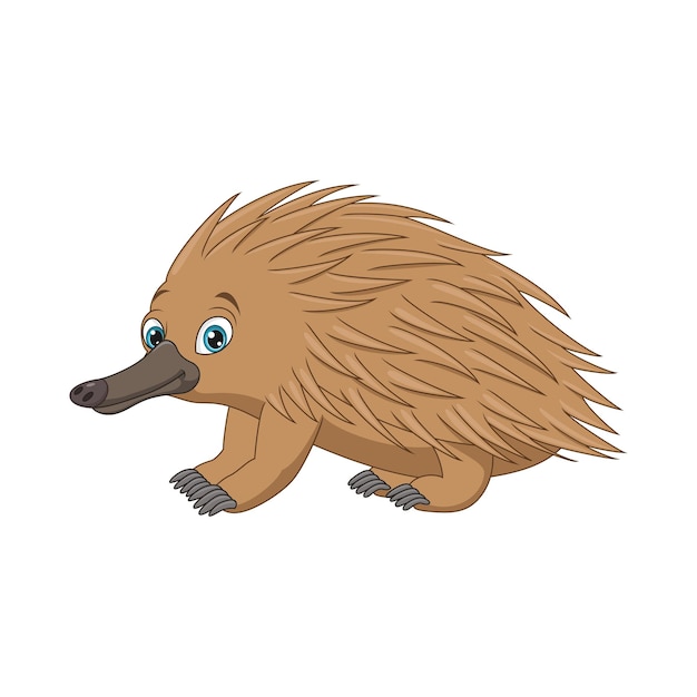 Cartoon echidna geïsoleerd