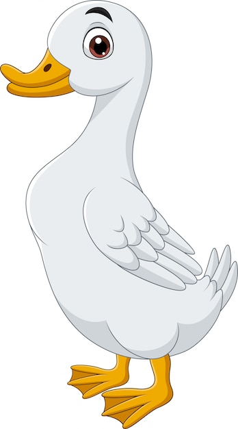Cartoon eend geïsoleerd