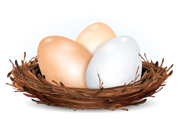 Uovo del fumetto nel nido degli uccelli dei ramoscelli isolati su fondo bianco