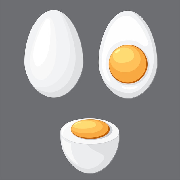 Vector cartoon egg isolated