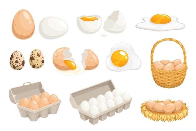 Vector cartoon eggs in basket tray box nest quail eggs