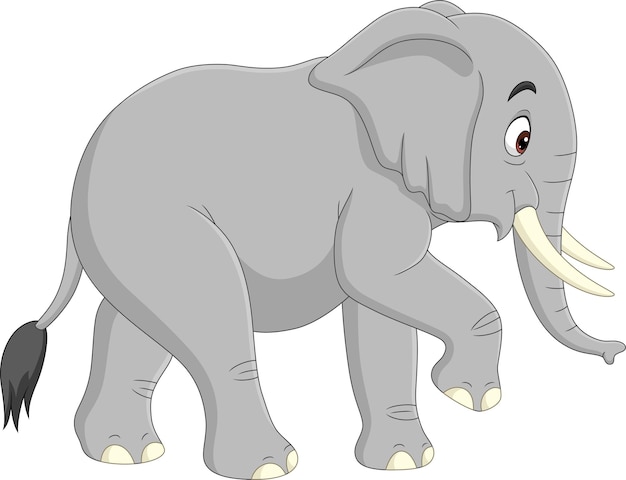 Cartoon elephant isolated on white