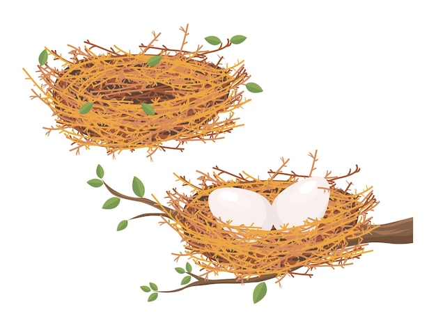 Vector cartoon empty bird nest brown wooden construction nest and egg bird house