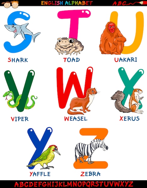 Vector cartoon english alphabet with animals