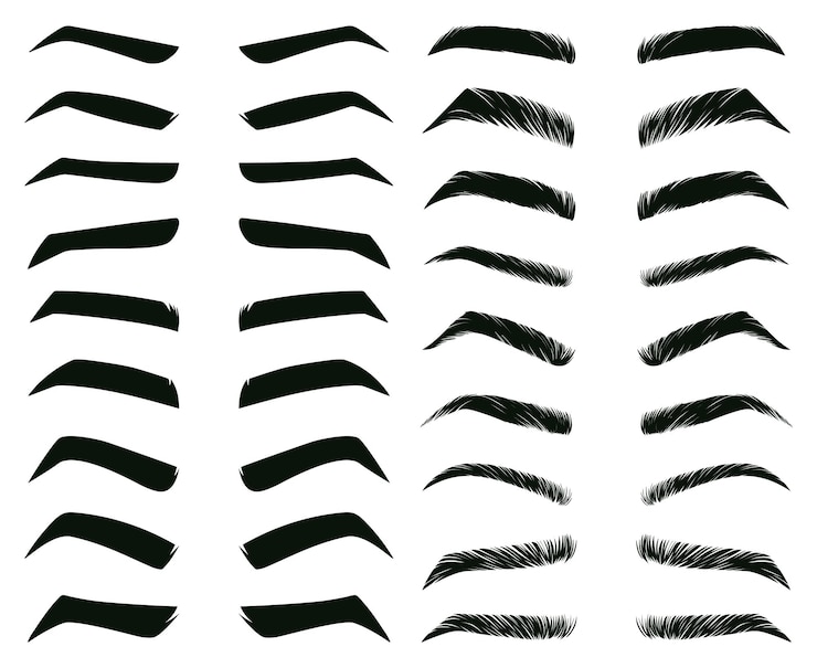 Vector 만화 눈썹 모양, 얇고 두껍고 구부러진 눈썹. 고전적인 눈썹, 눈썹 화장 형성 벡터 일러스트레이션 세트. 다양한 눈썹 유형