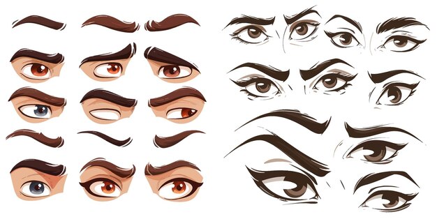 Vector cartoon eyebrows shapes thin thick and curved eyebrows