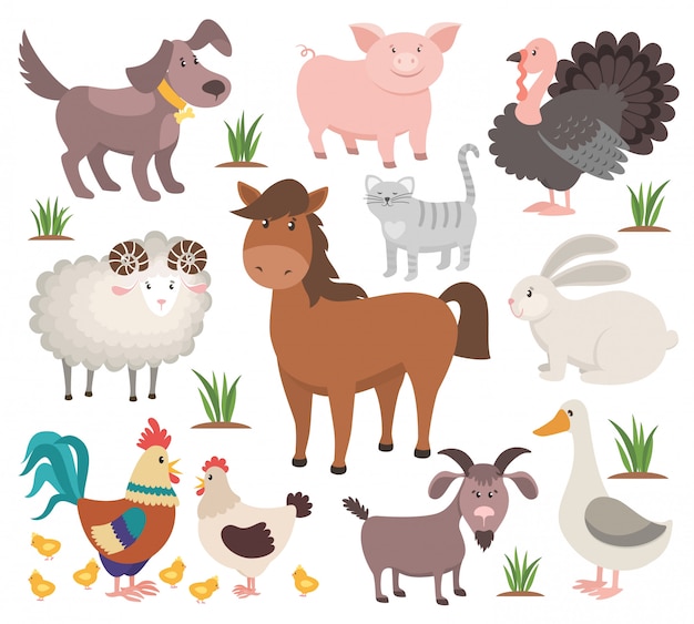 Cartoon farm animals. turkey cat ram goat chicken rabbit horse.