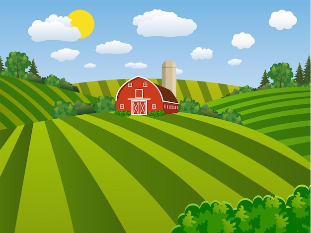 Vector cartoon farm field green seeding field, red barn on a green farmers field, large field farming striped, farm flat landscape.