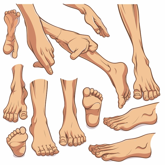 Vector cartoon_feet_armscute_cartoones