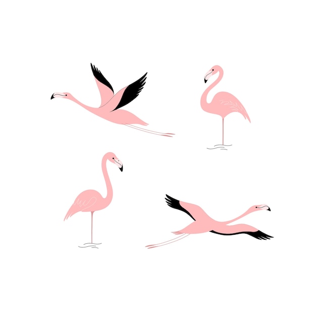 Cartoon flamingo set. Cute bird in different poses.