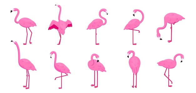 Вектор Набор мультяшных фламинго тропические милые розовые птицы в разных позах, стоящие и сидящие, коллекция икон летних животных изолированные мультяшные элементы плоского стиля векторная фоновая печать