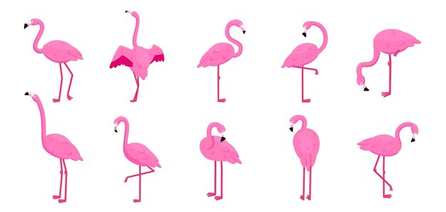 Cartoon flamingo set tropische schattige roze vogels in verschillende poses staan en zitten collectie van zomer dierlijke pictogrammen geïsoleerde cartoon vlakke stijlelementen vector achtergrond afdrukken